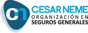 Cesar Neme - Organización en Seguros Generales